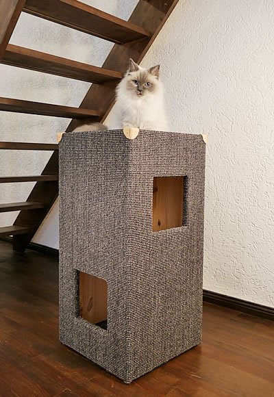 BORG Katzentonne
